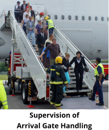 Supervision of  Arrival Gate Handling