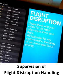 Supervision of  Flight Distruption Handling