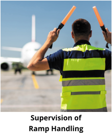 Supervision of  Ramp Handling