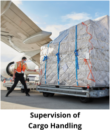 Supervision of  Cargo Handling